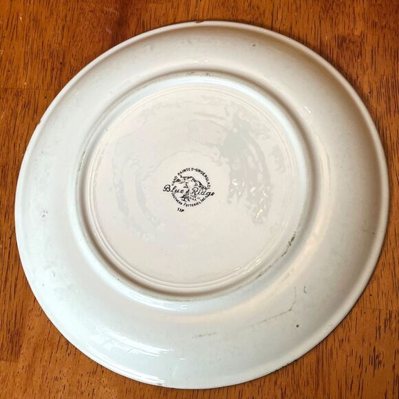BLUE RIDGE Southern Potteries 9 1/2” Plate GREENBRIER PATTERN 1940s USA - Picture 5 of 10